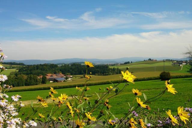 Ferienwohnung Im Bayerischen Wald Tittling Екстериор снимка